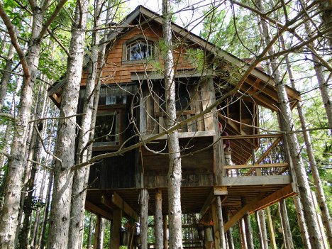 Espectacular casa del árbol en medio del bosque