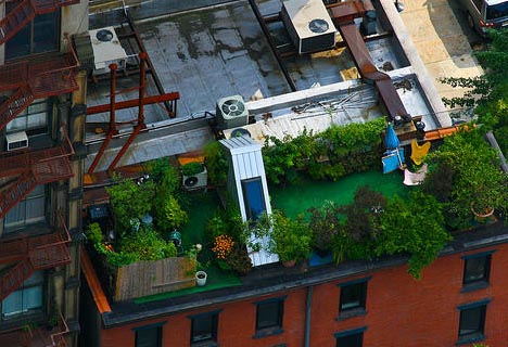 Flores y plantas en decoraciones de terrazas en New York