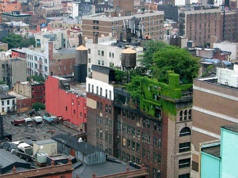 Flores y plantas en decoraciones de terrazas en New York decoración de terraza